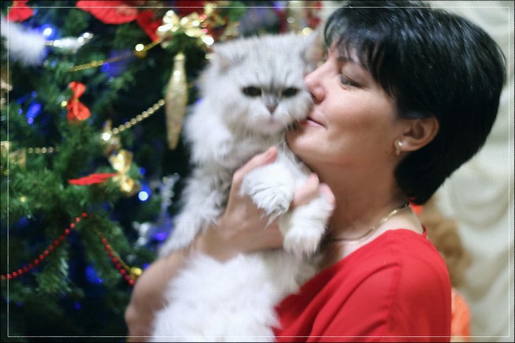 Мои Новогодние Сюрпризы... или и на старуху бывает проруха