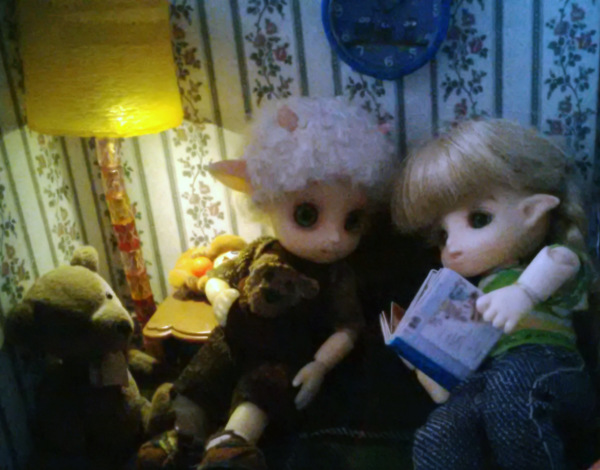 Решено, мы жить будем здесь