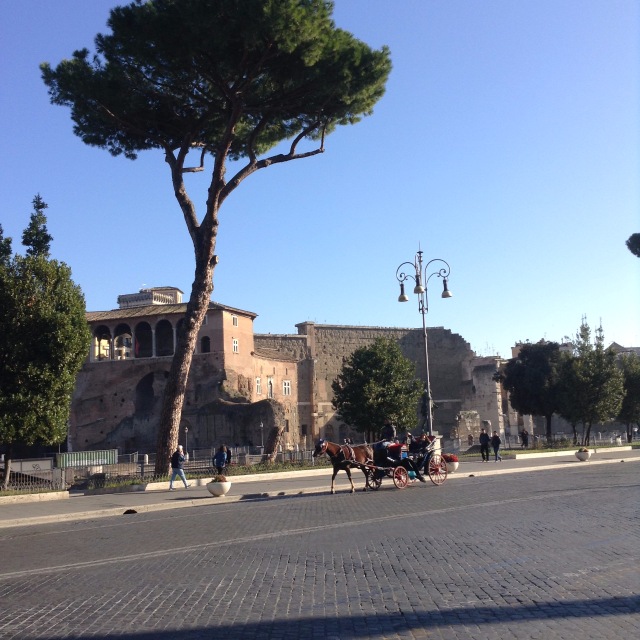 Приключения Минуш в Италии. Часть 7. Рим - Вечный вечноюный город