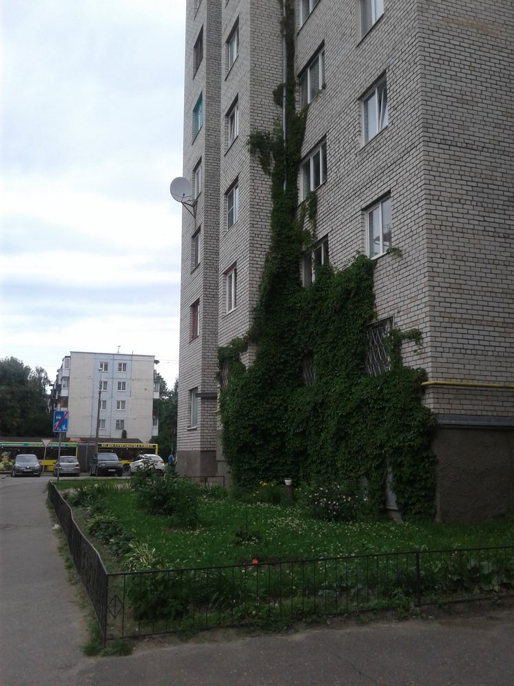 Псков: из лета в лето. Прогулки по городу и куклы