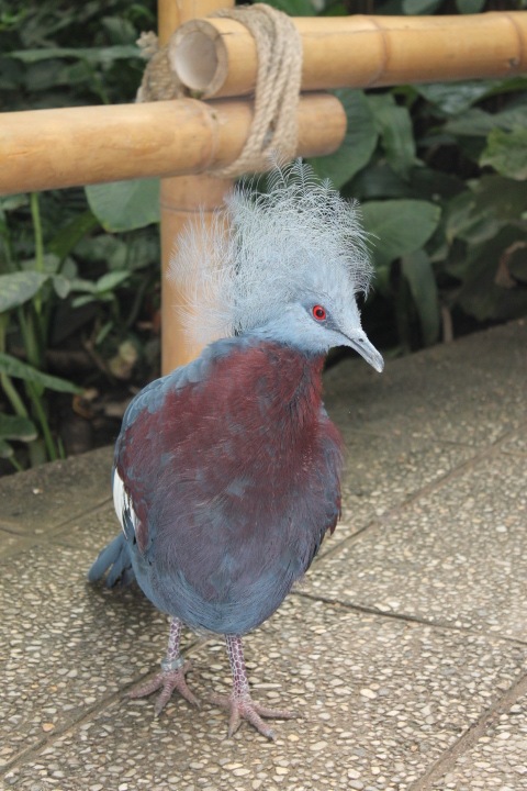 По Германии: зоопарк Лейпцига, часть 1