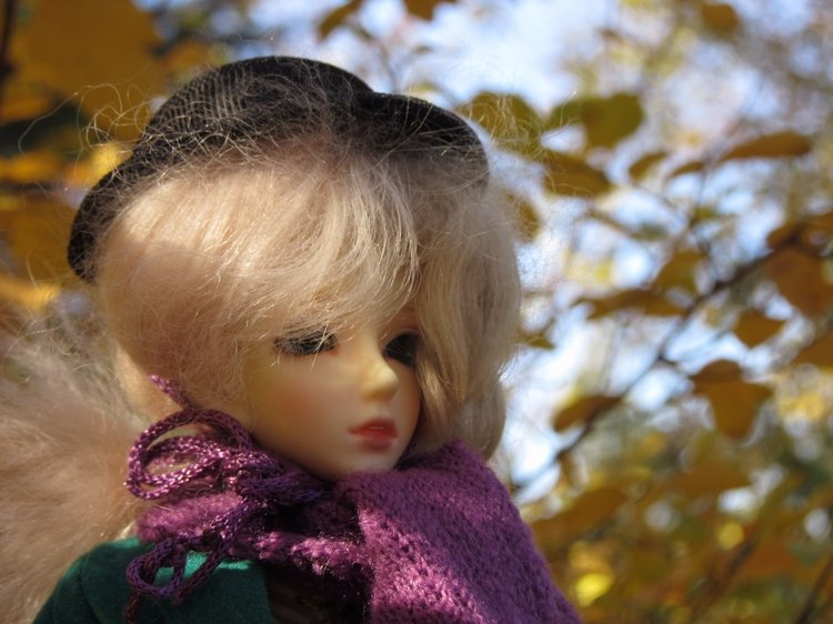 Танец умирающей осени — Куклы Soom (Сум): BJD (БЖД) (фото 4)