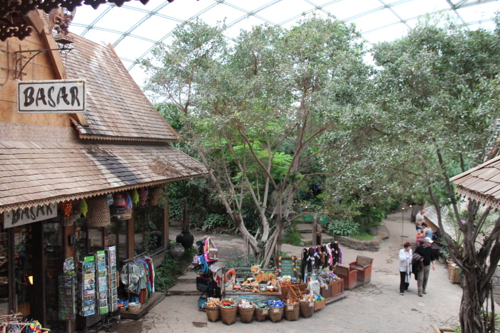 По Германии: зоопарк Лейпцига, часть 2