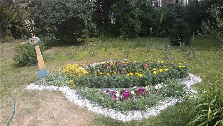 Маленький парк — Куклы Dollzone (Доллзон): BJD (БЖД)