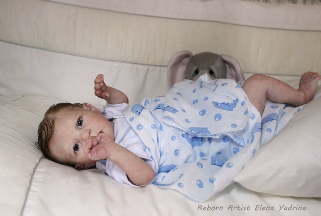 Алекс. Куклы реборн Елены Ядриной (фото 2)