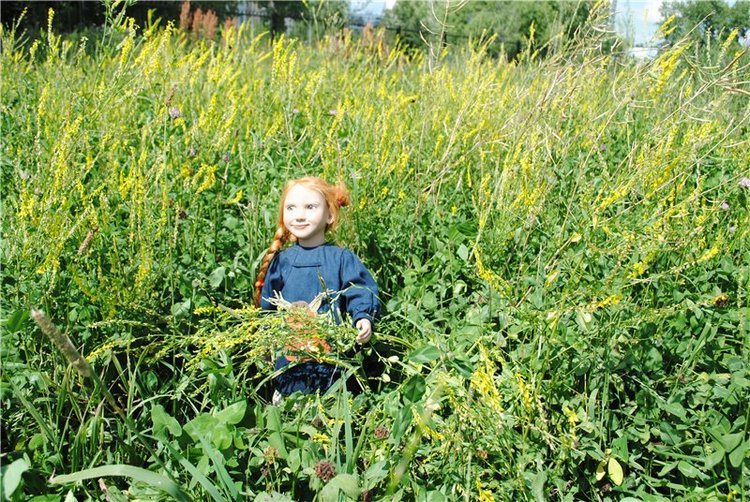 В твоей улыбке прячутся мечты... О, милый рыжик, кто же ты