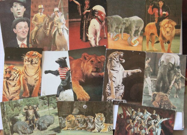 Моя коллекция календариков:) | Бэйбики Моя коллекция календариков:) (фото 6)