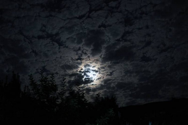 Те, кто нас любит и в домашнем халате, и без косметики, и растрепанными | Бэйбики Те, кто нас любит и в домашнем халате, и без косметики, и растрепанными