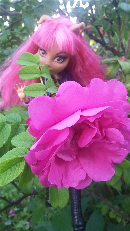 В гостях у бабушки ))) или яркое лето 2016 с девочками от Монстр Хай | Бэйбики В гостях у бабушки ))) или яркое лето 2016 с девочками от Монстр Хай