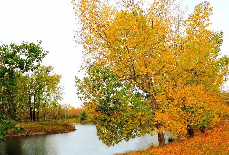 Красотка-осень — Болталка и разговоры обо всем: жизнь