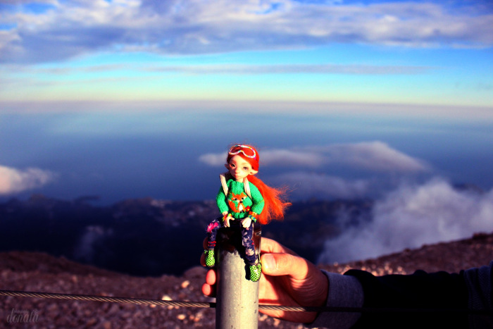 Как Фиби в отпуск съездила. Авторская бжд-мышка Лидии Снуль