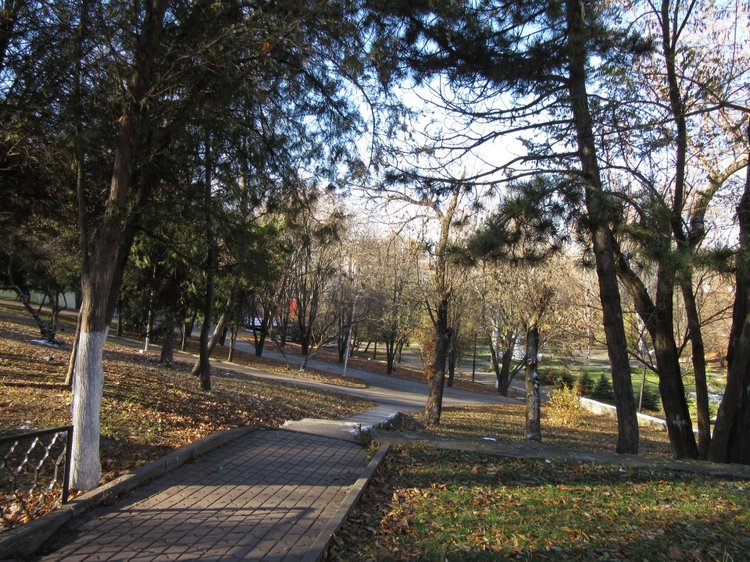 Утренняя прогулка в парке Горького с Соломоном и Анхен, или О сложностях гуляния с собакой и куклой одновременно