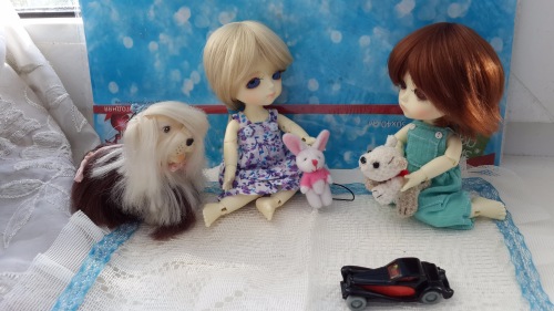 ... поиграем в шахматы — Куклы Latidoll (Лати): BJD (БЖД)