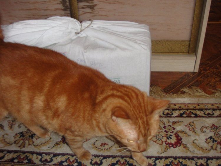 История Золушки — Винтажные куклы ГДР (Немки): Бигги