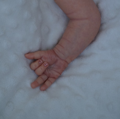 Ливия и Линдея. Куклы реборн Наталии Коноваловой