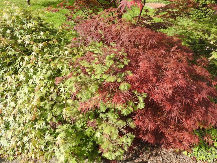 Словения, Светланка и маленький «герой» в одном ботинке