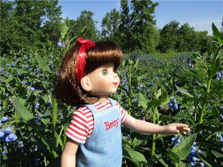 Бетси Robert Tonner. С красным бантом по зеленому лугу