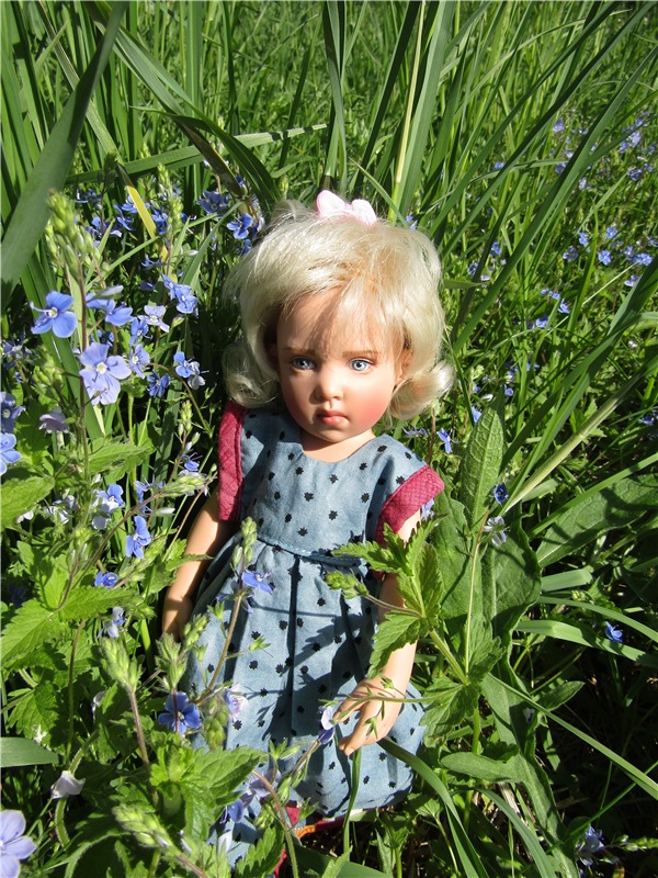 Сине-голубое настроение. Флора Helen Kish среди цветов в парке (фото 10)