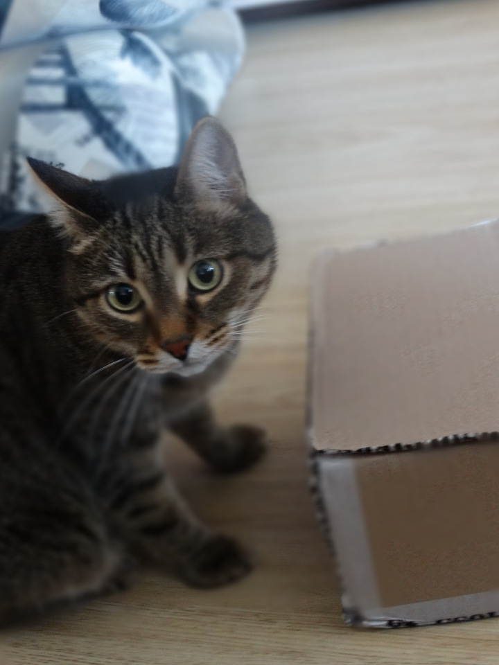 Энжи приехала! Шарнирная кукла от VERYCOOL (фото 2)