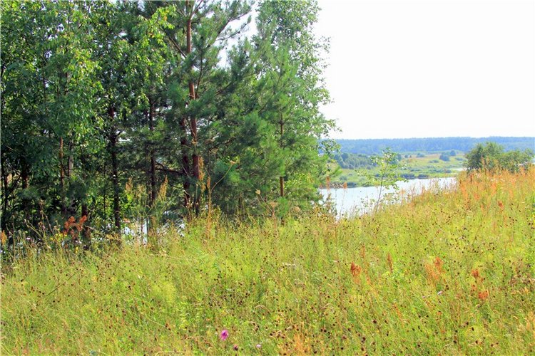 Просто Соня. Уникальные куклы от Сильвии Наттерер | Бэйбики Просто Соня. Уникальные куклы от Сильвии Наттерер