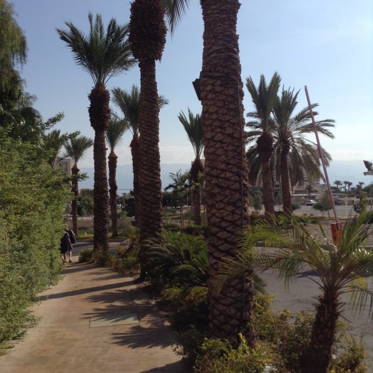 Белое солнце пустыни. Ч.1 Дорога к морю