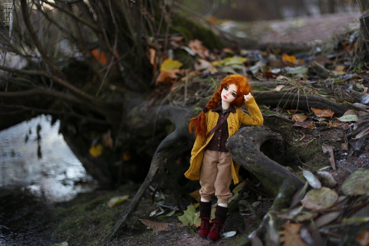 Мирвен в парке в последние дни осени (фото 6)