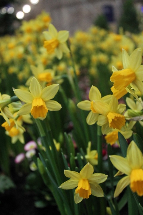 По Германии: весна в Лейпциге