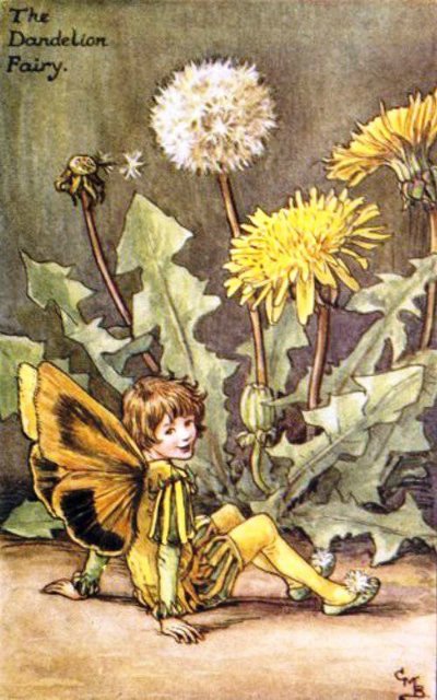 Долгая жизнь цветочных фей от иллюстраций Cicely Mary Barker до кукол Birgitte Frigast
