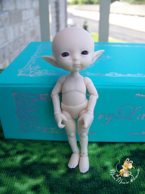 Новая семейка...или *Крошка на ладошке*-2-Titi & Toki Realpuki от Fairyland