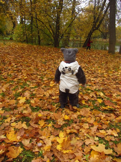 Забреду сегодня в парк осенний