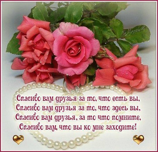 Долгожданная Виномах от Моники Левениг
