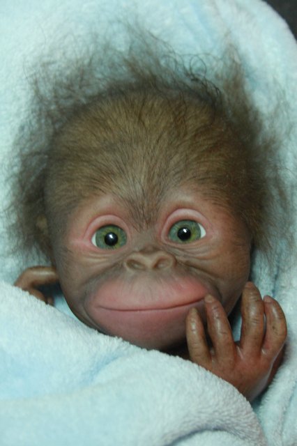 Бонька, обезьянка реборн Элины Кудрявцевой (фото 4)