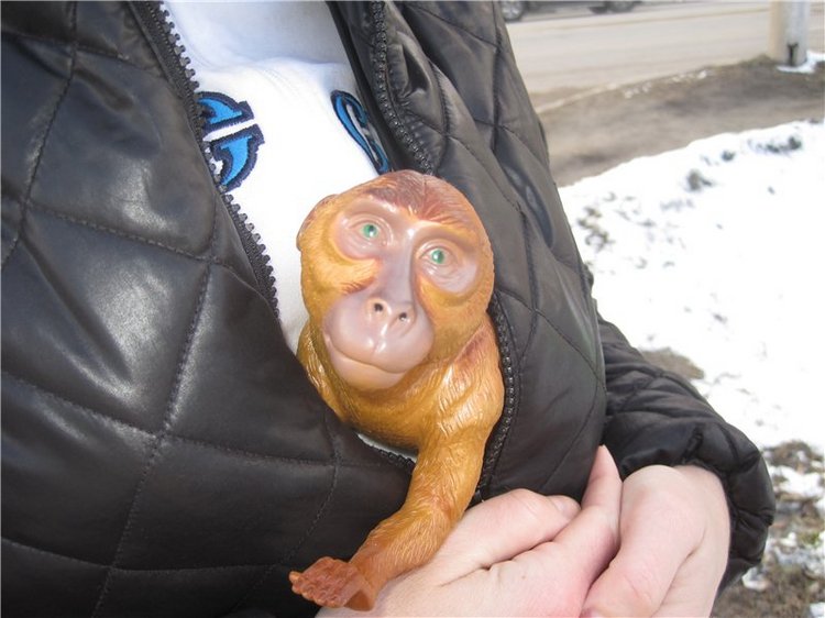 Анжела — Интересные игрушки и фигурки (разное): редкие (фото 9)