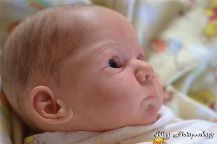 Кукла реборн Mathis от Gudrun Legler, художник Ольга Астаповская (фото 6)