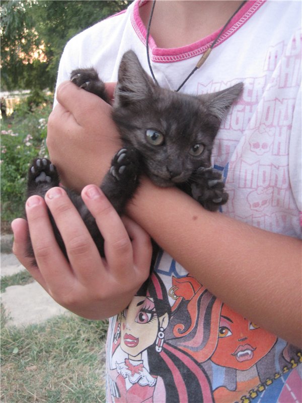 Галчонок и лето. Винтажна куколка СССР Галя