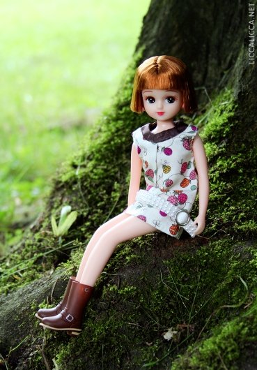 В поисках родственников маленького китайчонка Chabel, часть 2 (фото 9)