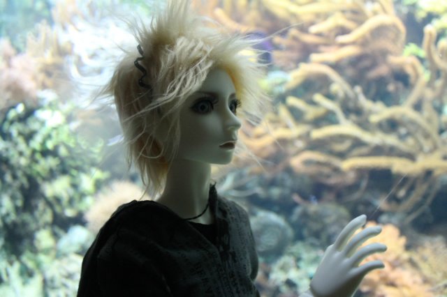 Сказка о Мишеле, BJD часть 2