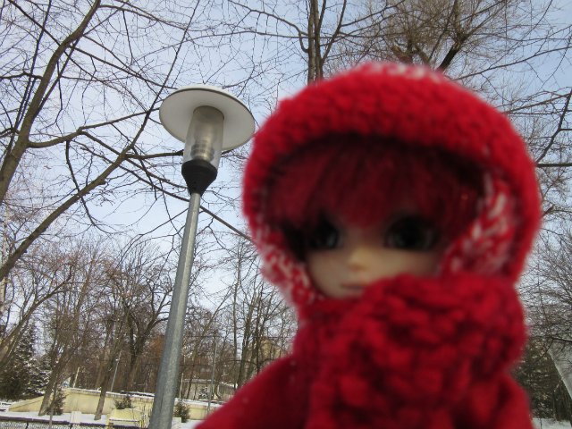 Чем бы заняться юному лорду 30 декабря