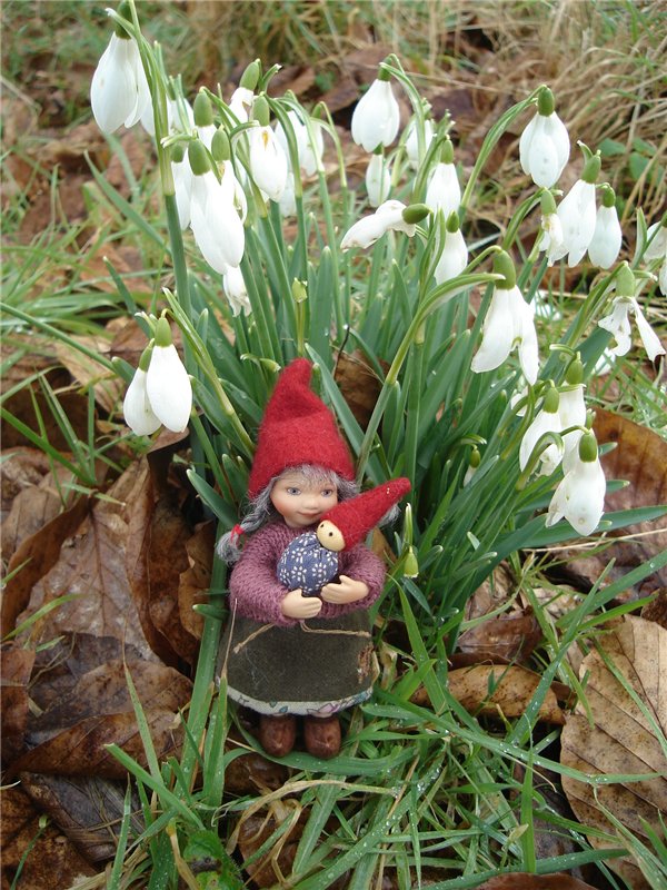 Как гномик Ditte за подснежниками ходила