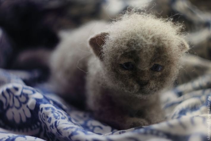 Ты откуда появился маленький