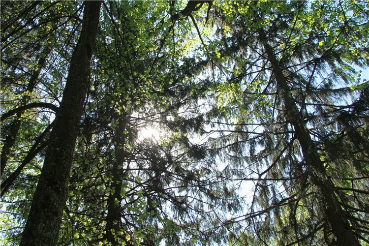 Субботний вояж. Третья часть | Бэйбики Субботний вояж. Третья часть