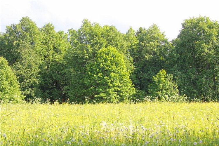 46-ой Пушкинский праздник поэзии в Берново. Часть первая