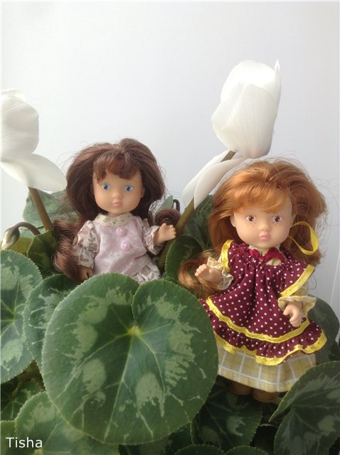 Малышки Sarah Key — Другие мини