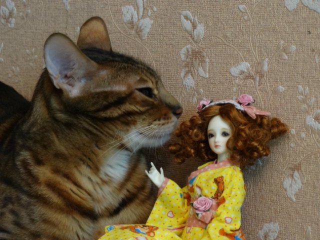 Метелька и её новый друг | Бэйбики Метелька и её новый друг — Куклы Souldoll (Соулдолл): BJD (БЖД) (фото 10)