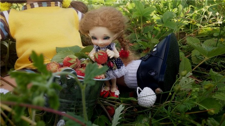 Земляничный день — Домашние коллекции кукол: фото собраний