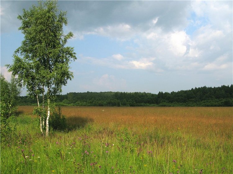 До свидания, Июль! Minouche от Sylvia Natterer (фото 5)