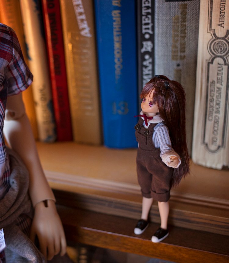 60 см vs 15 см. Или две истории из жизни Итана и Хотару (фото 8)