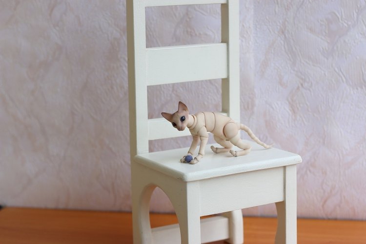 Кот играет с мячиком — Разные куклы BJD (БЖД): редкие бренды (фото 5)