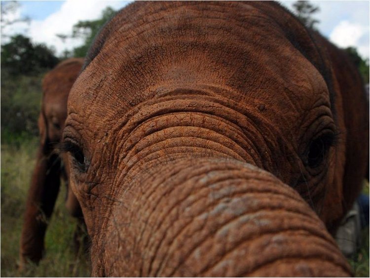 Лучшие фото National Geographic