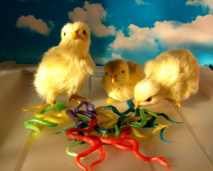 Прогулка в парке. Галочка - коллекционная куколка Дианы Эффнер